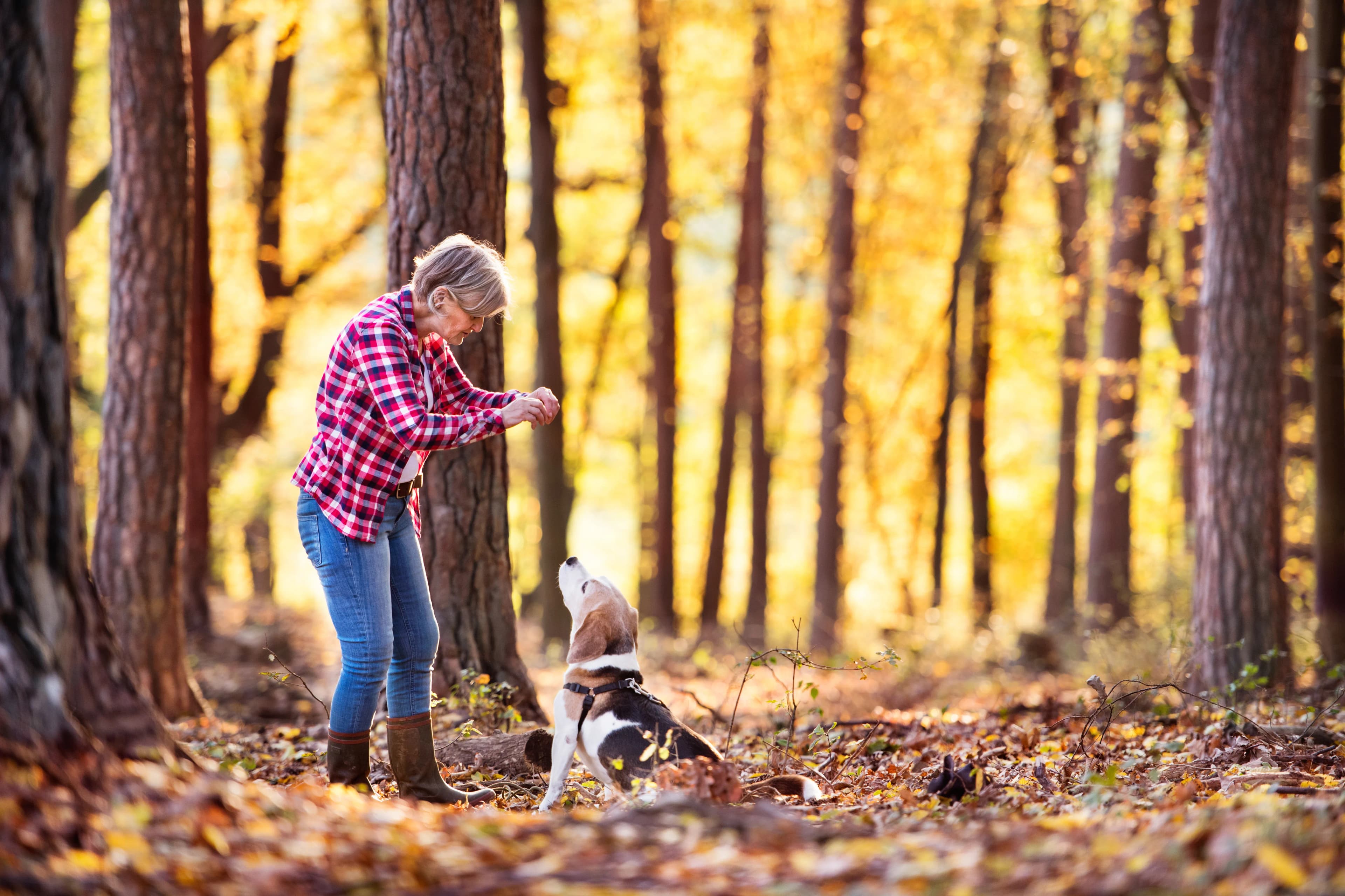 Woman walking outdoors with her dog through the forest