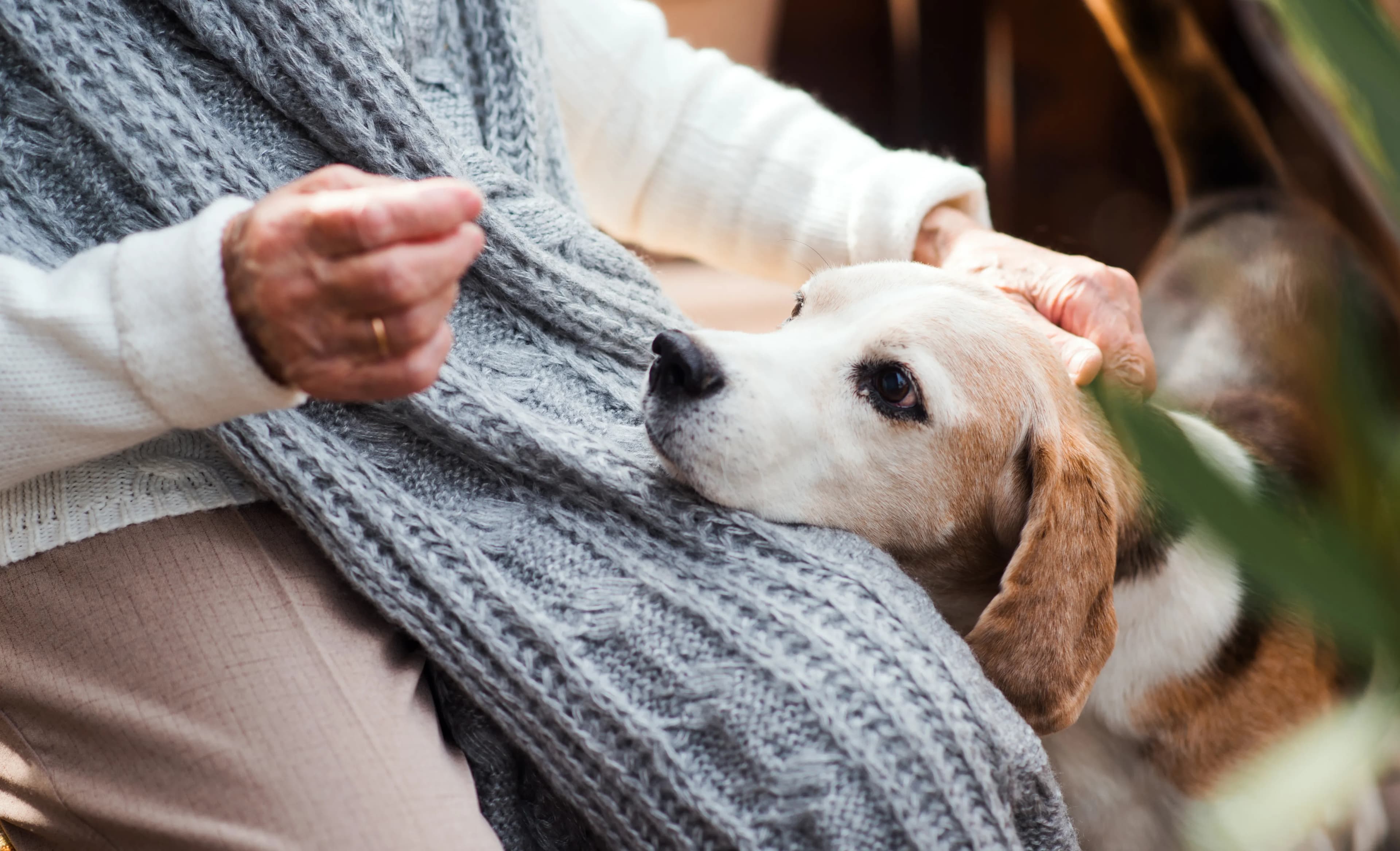 Woman sharing a warm moment with her dog outdoors