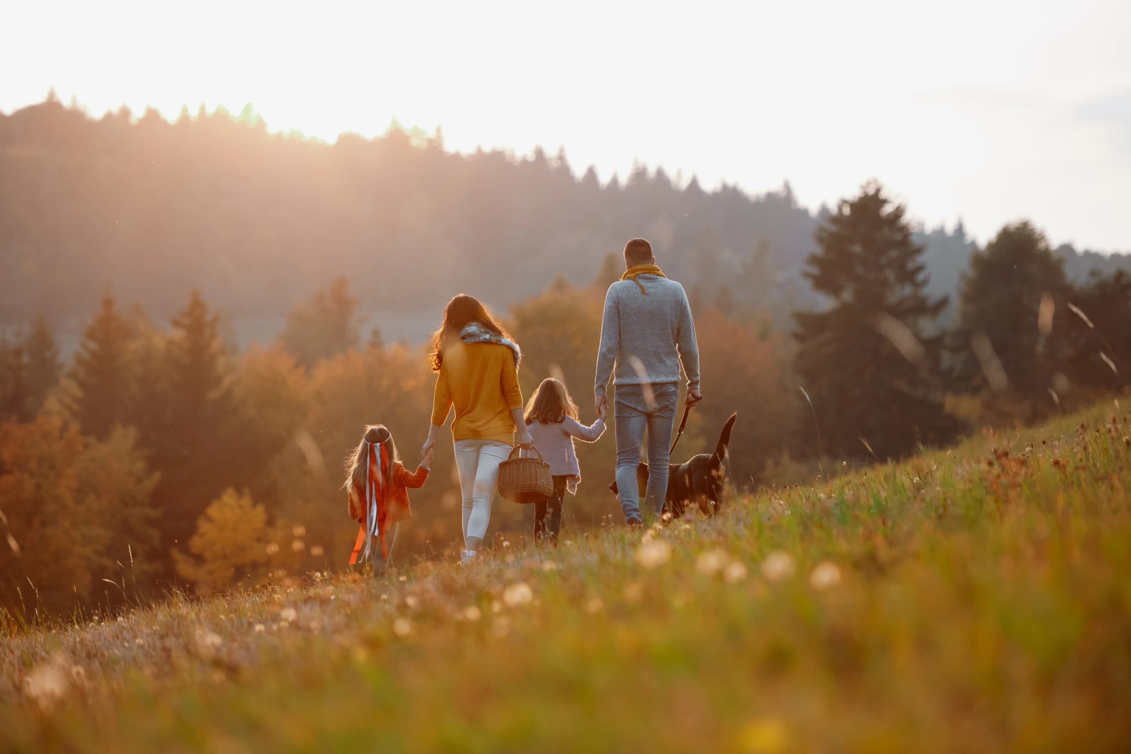 A family walking into the distance with their dog at golden hour