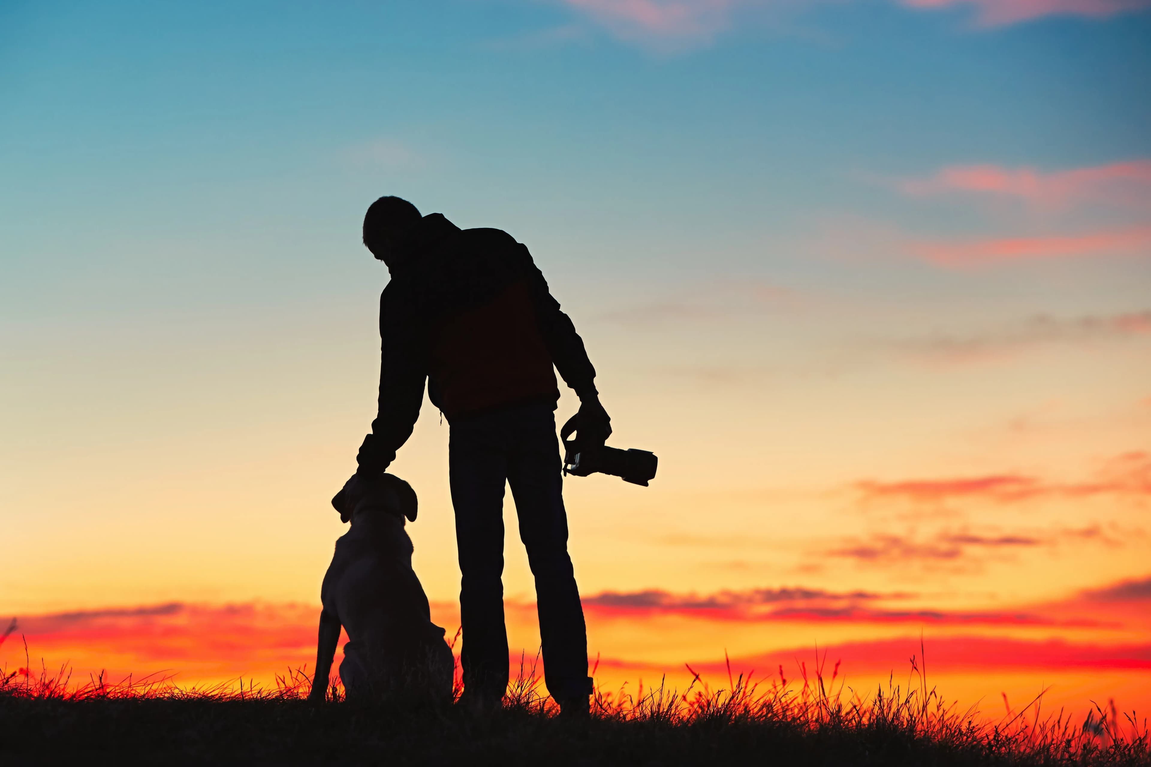 Manuel Ursache, founder and photographer of Pet•Lens, standing with a dog at sunset