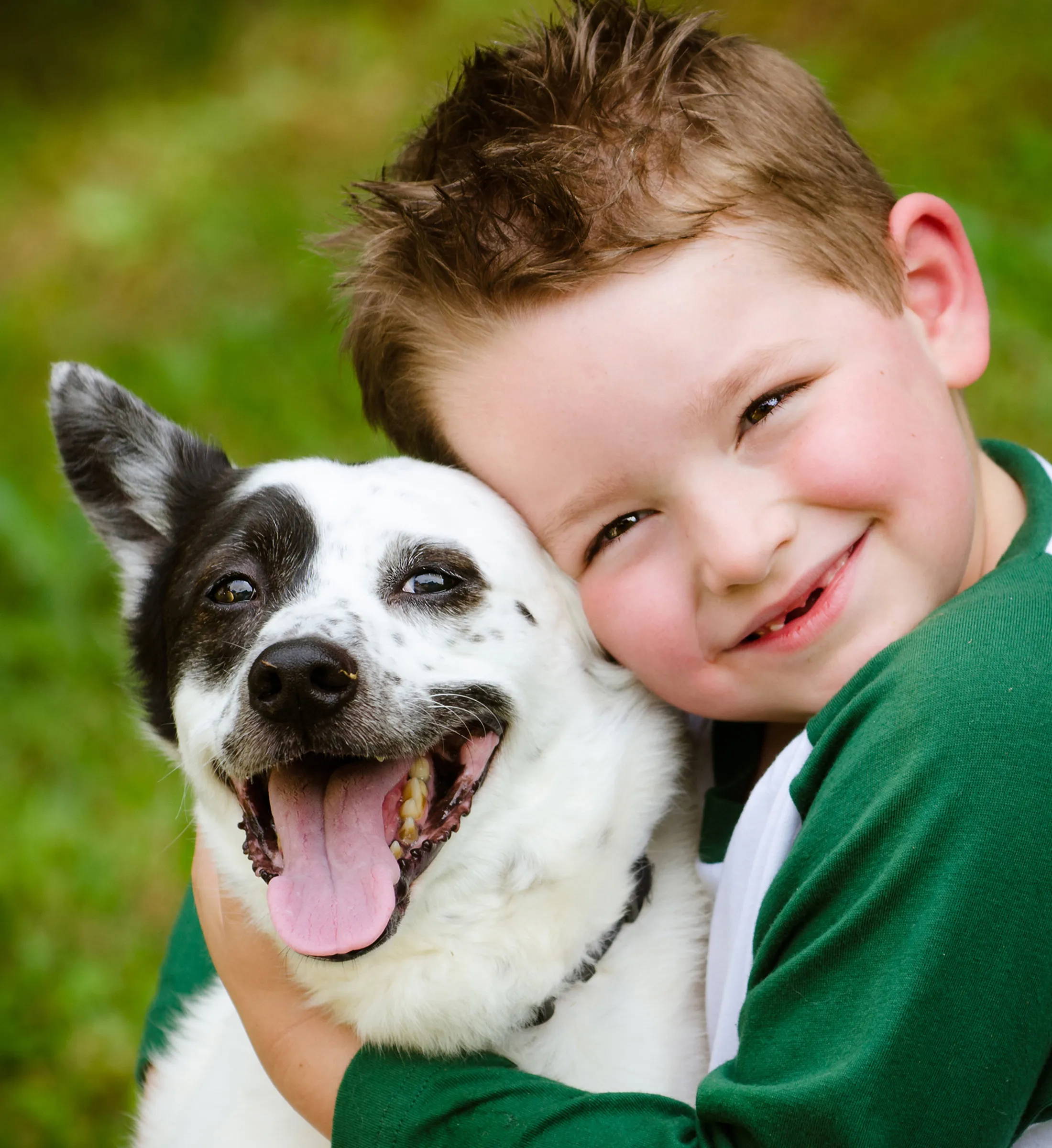 Boy hugging a Border Collie