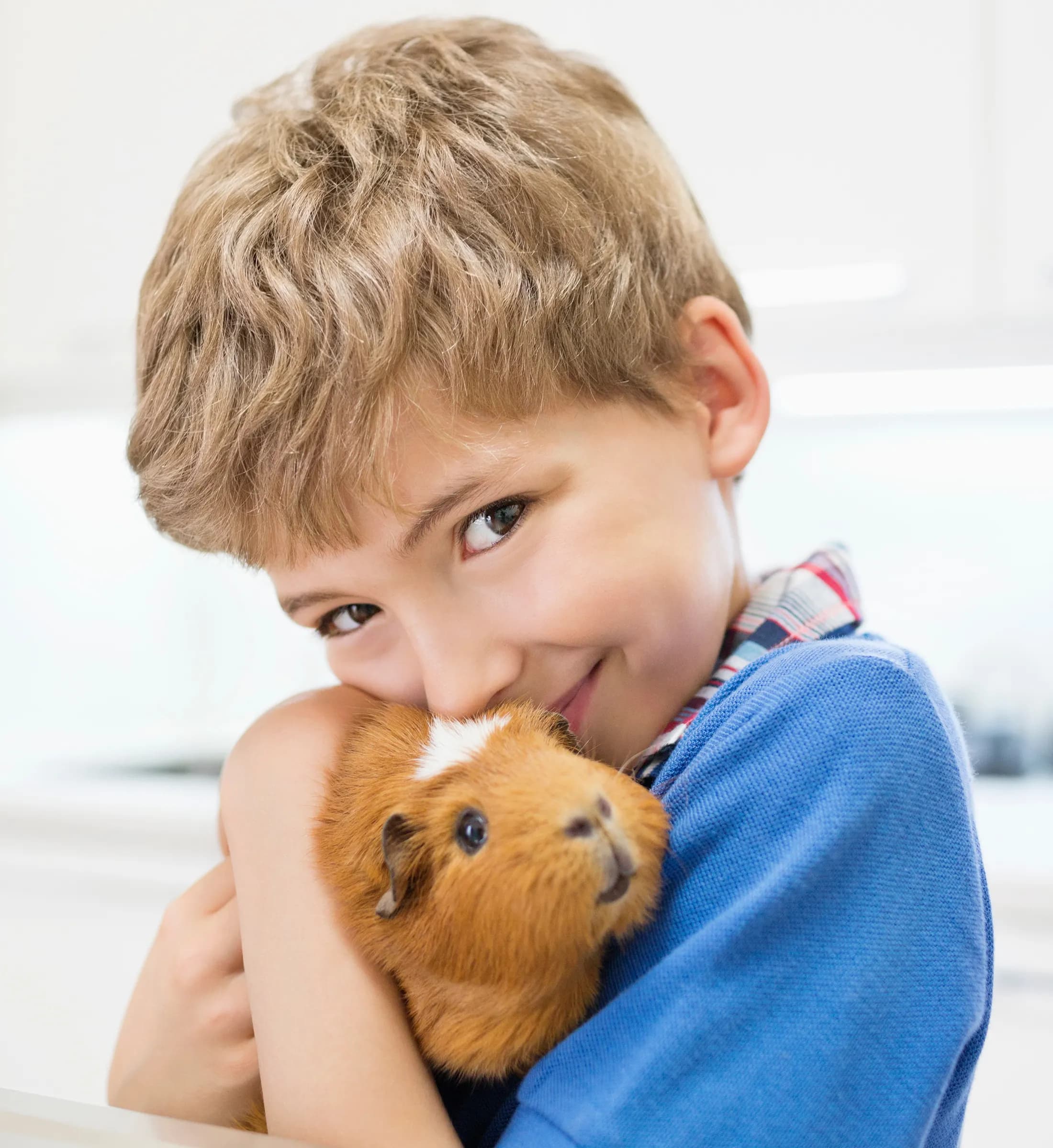 Boy cuddling a guinea pig