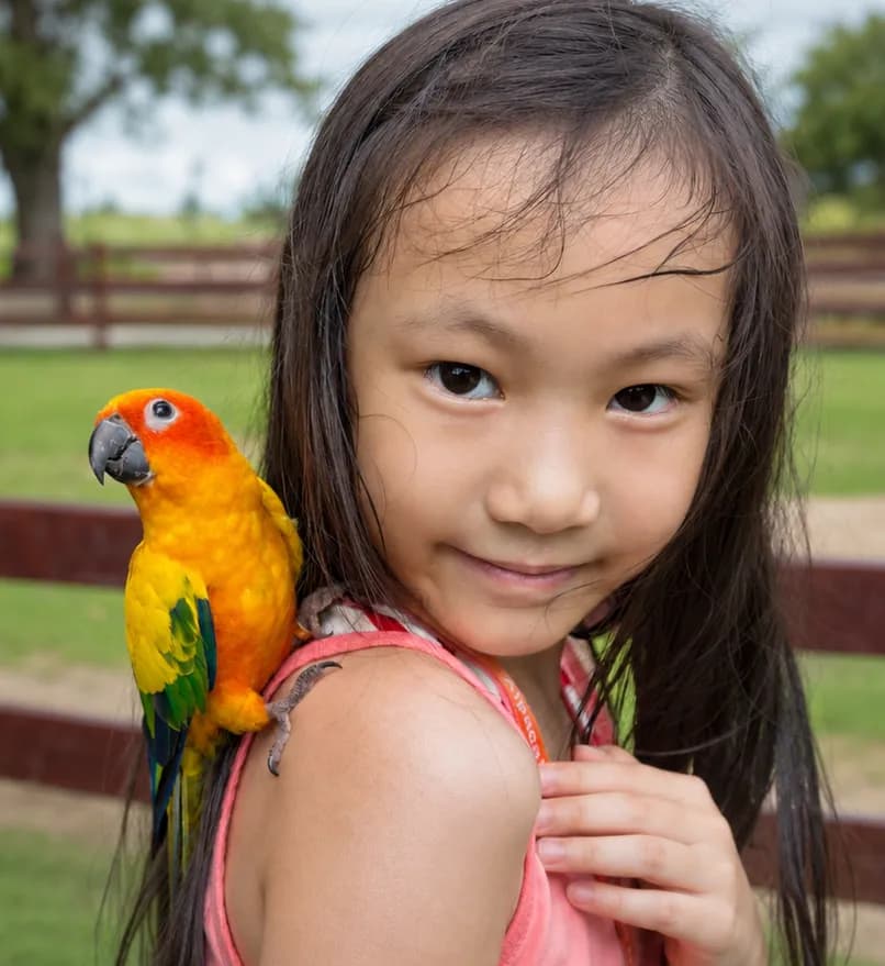 Girl holding a Sun Conure