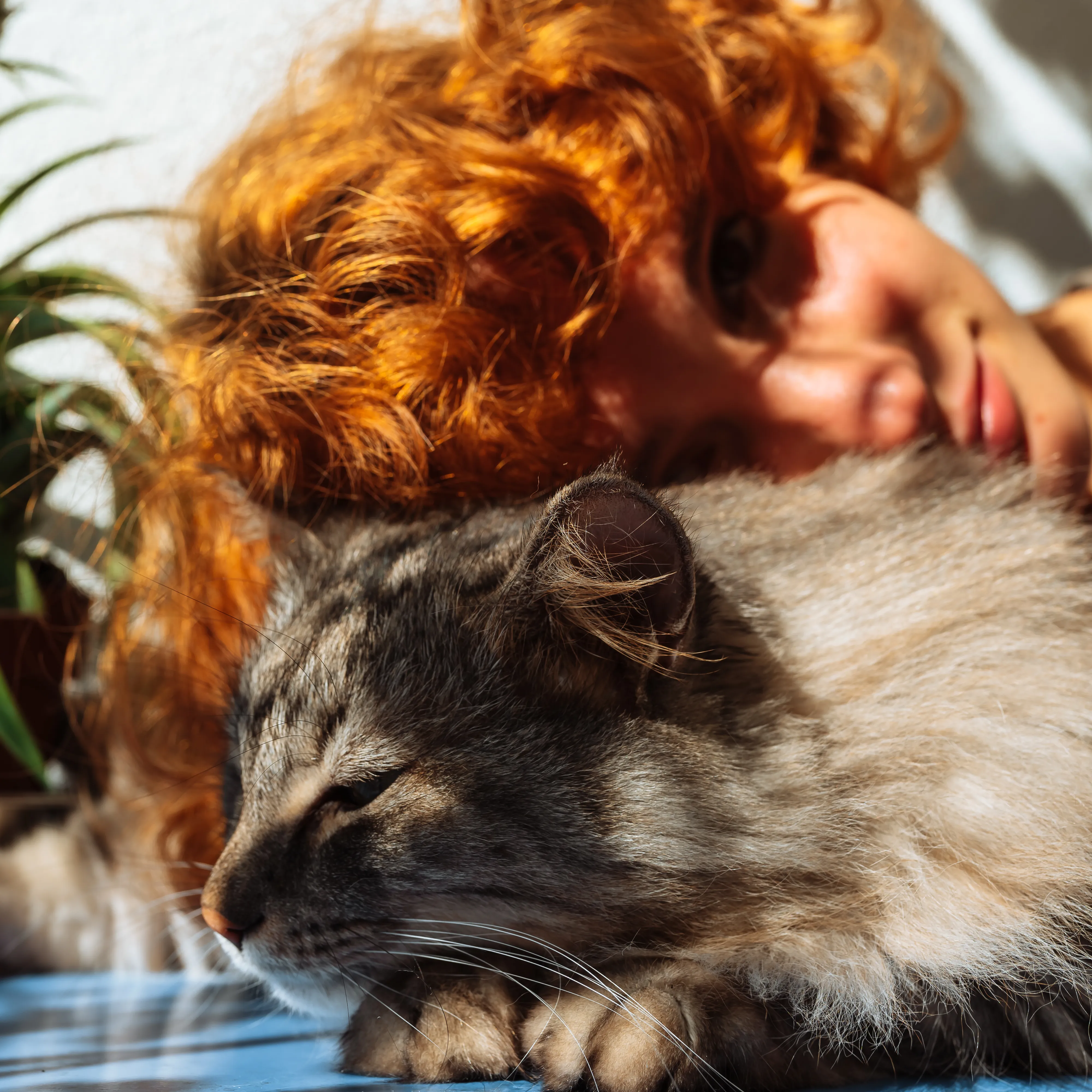A woman resting her head beside her cat in warm sunlight