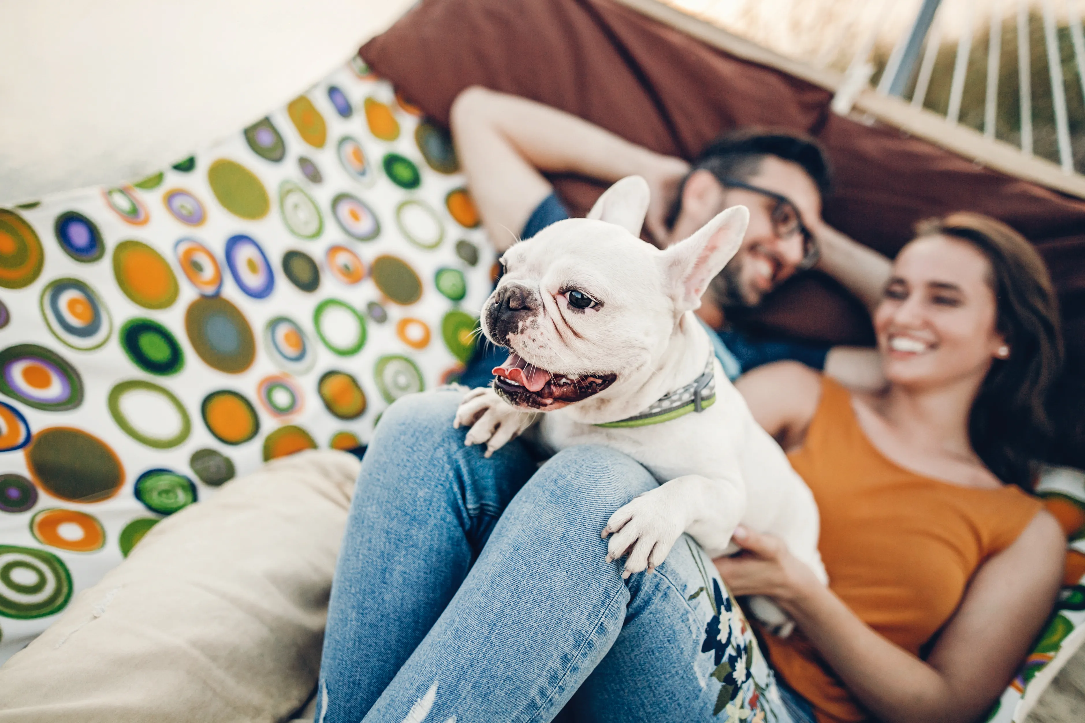 A newly adopted dog settling into its new home