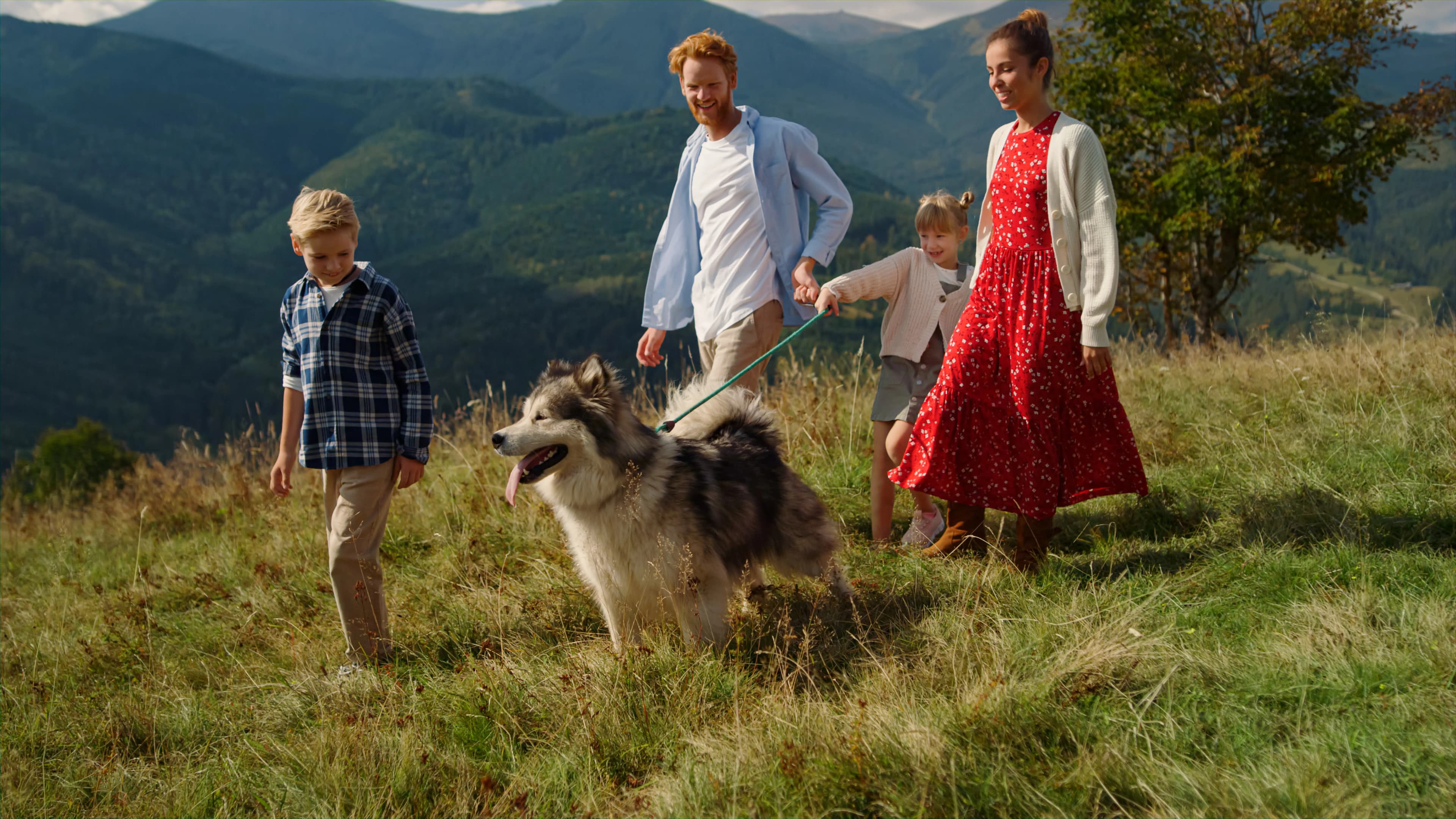 A family enjoying a day in the mountains with their dog