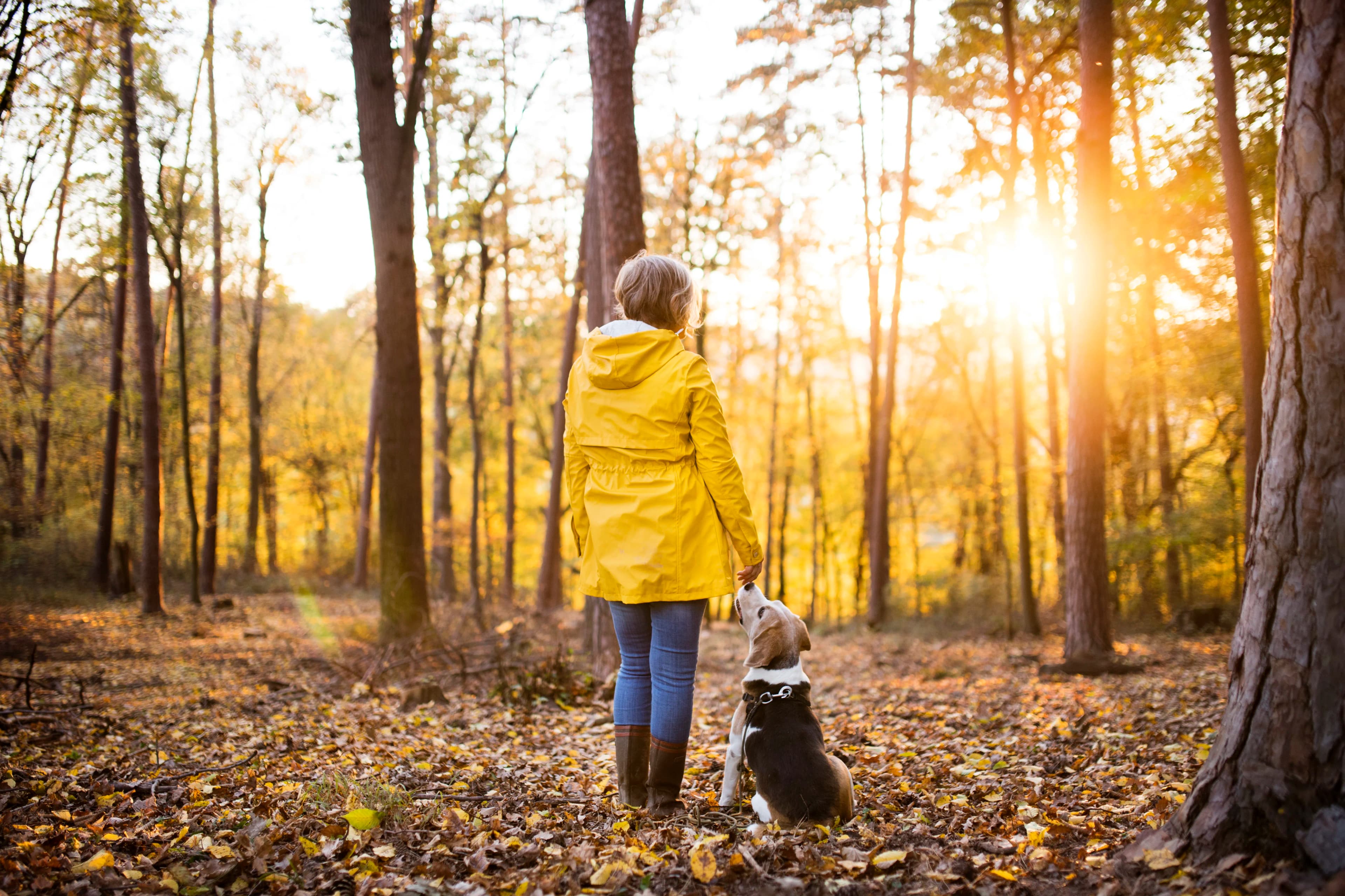 Woman standing with her dog on a forest trail in North Vancouver