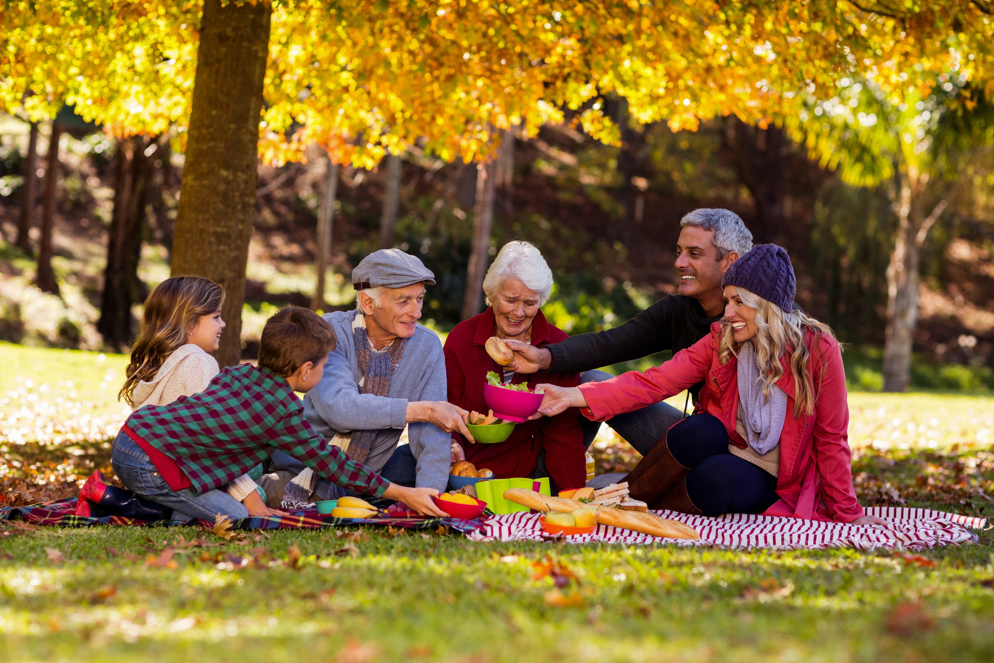 Family enjoying a playful outdoor moment together with their dog