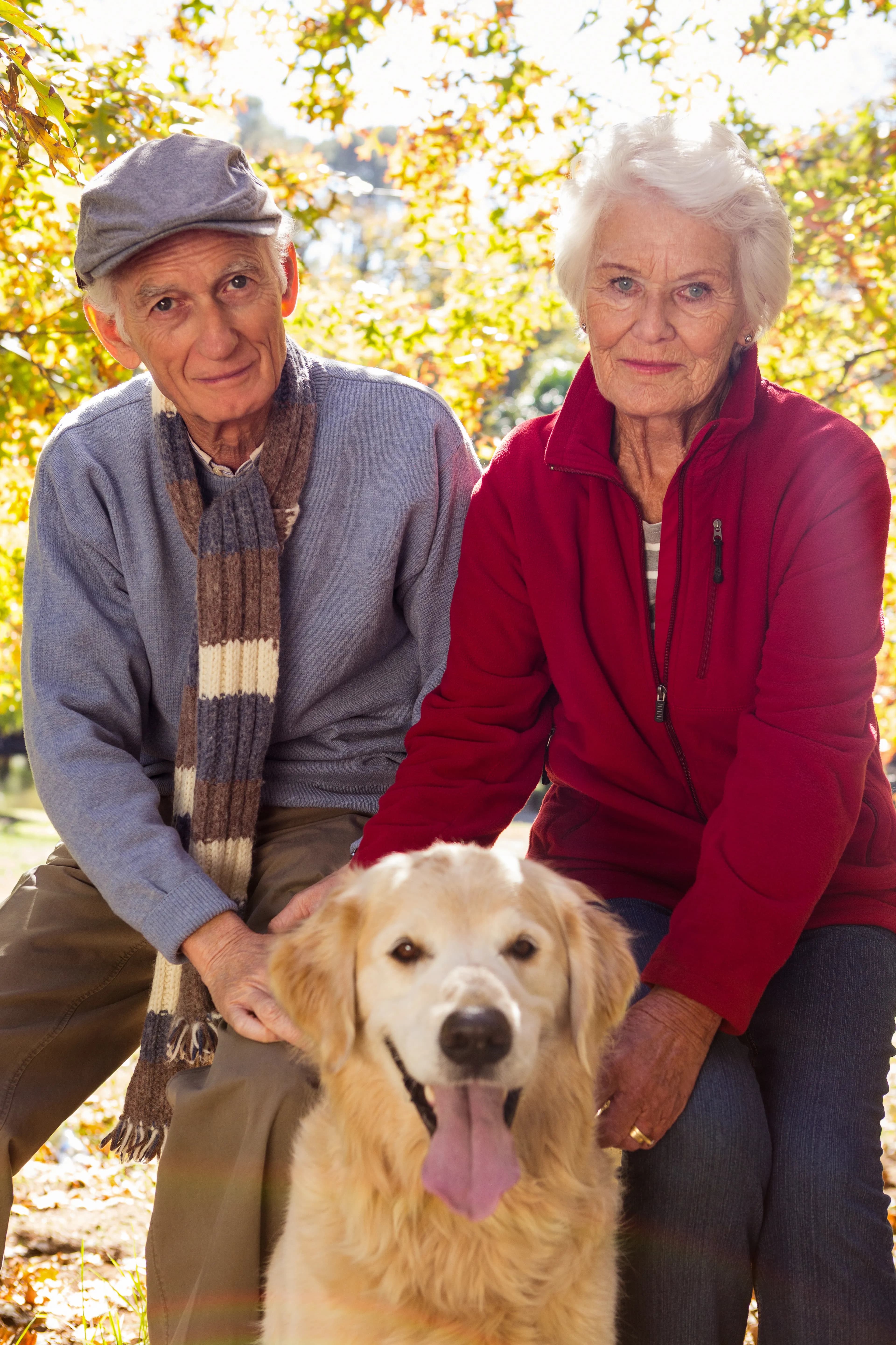 Family sharing a quiet moment with their dog outdoors