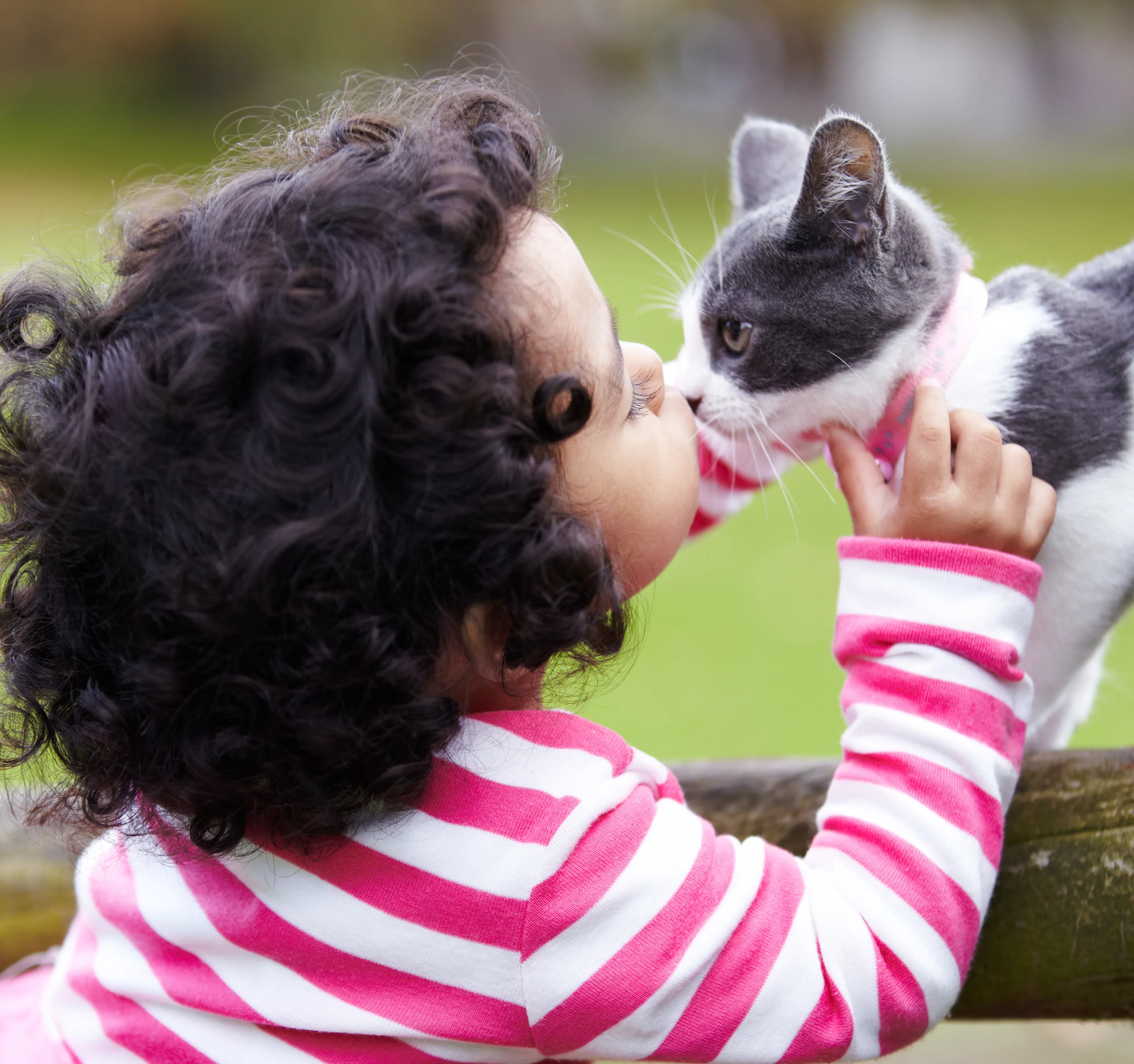 Child holding and looking at a young kitten during a New Beginnings session