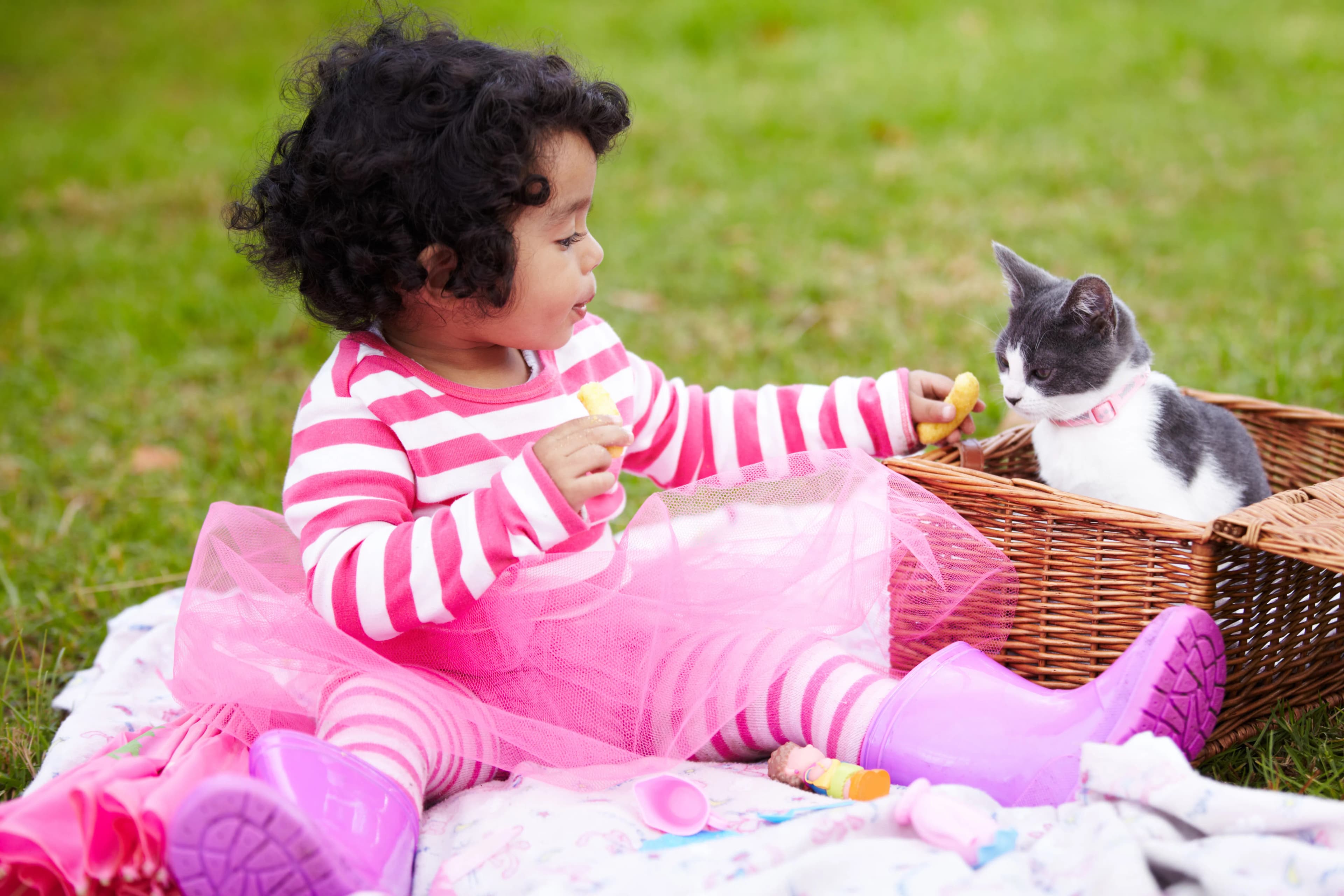 Child playing with a young kitten outdoors